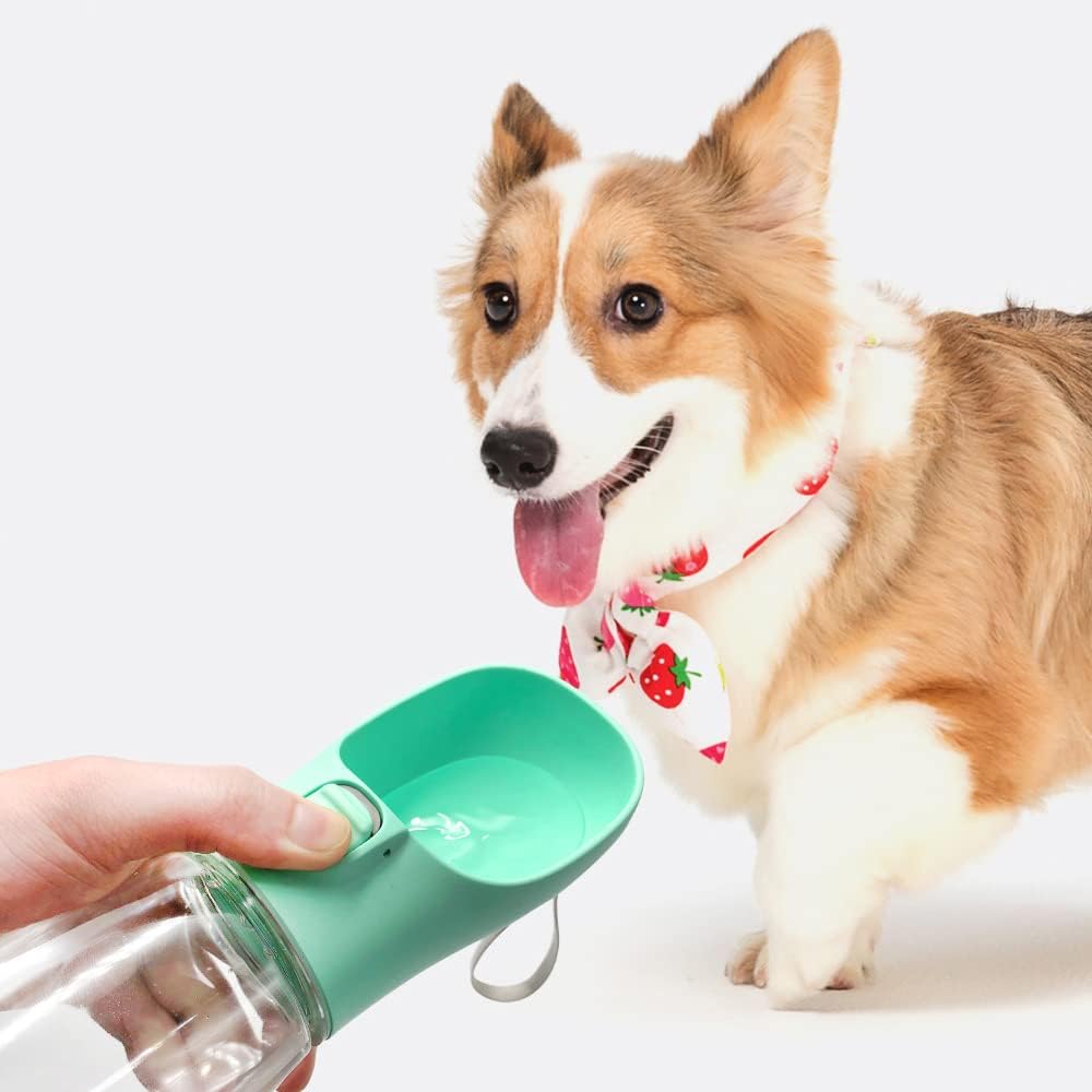 Pfotenschluck™ – Die Originale Schweizer Hundetrinkflasche