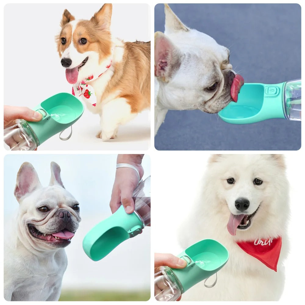 Pfotenschluck™ – Die Originale Schweizer Hundetrinkflasche